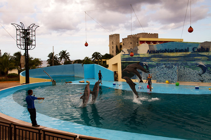 Национальный аквариум